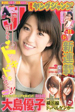 侠岚第三部
